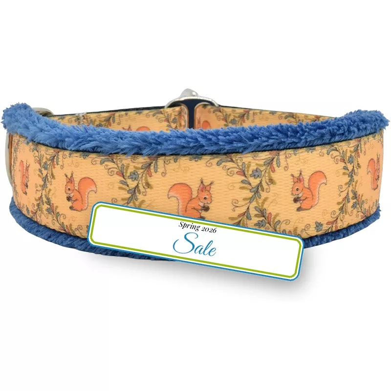 1″ The S Word Everyday Limited Slip Collar