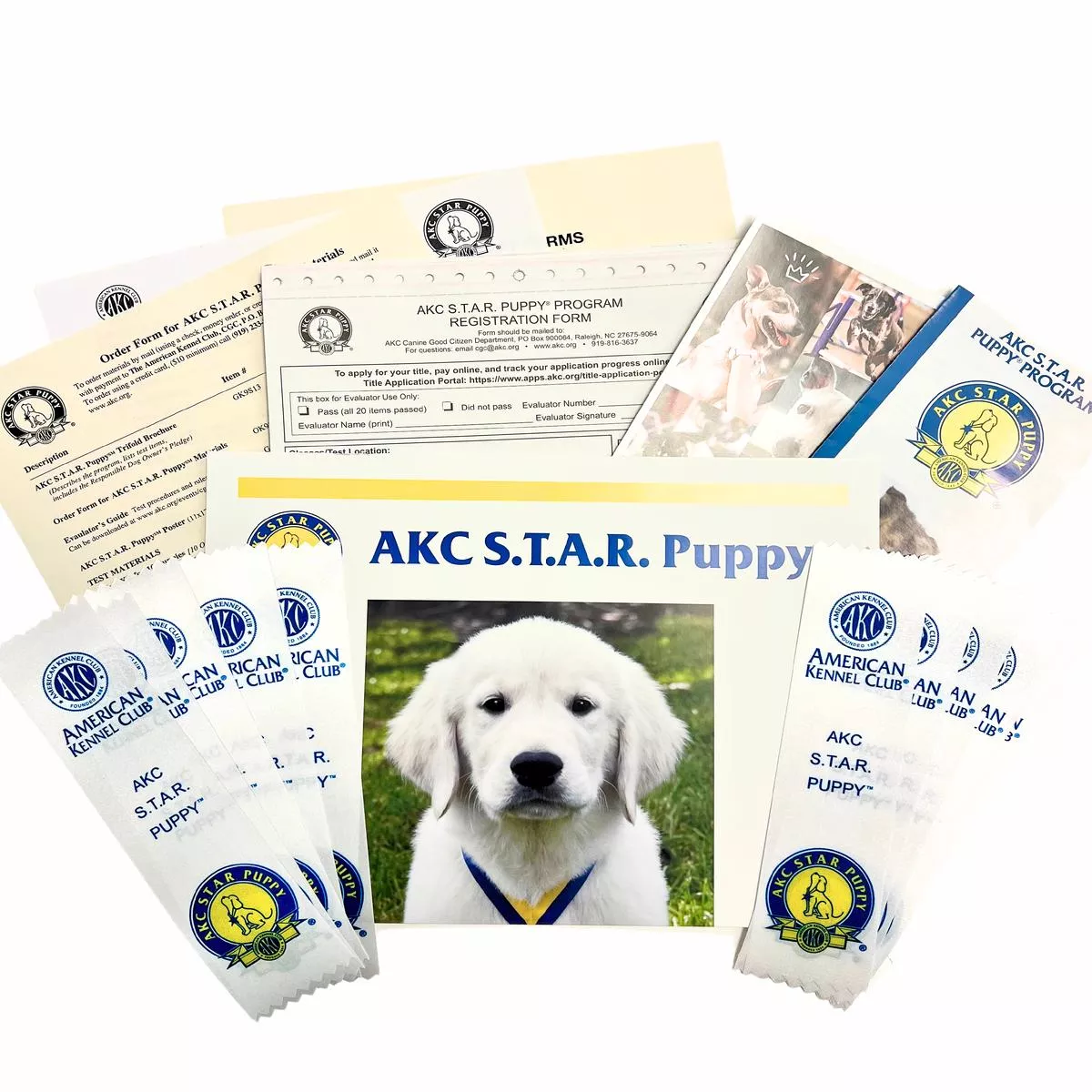 10 Pack AKC S.T.A.R. Puppy Test Material