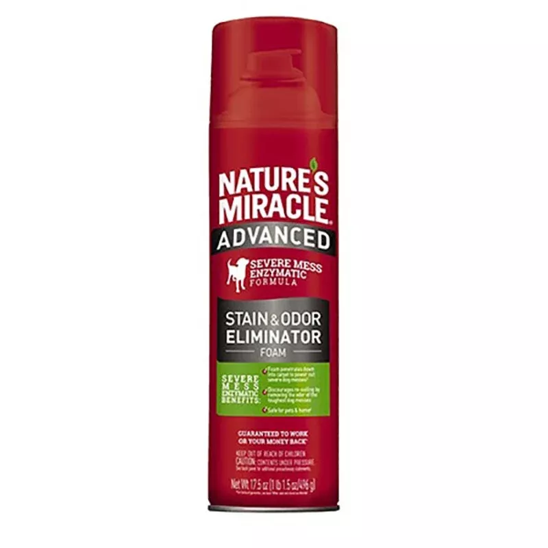 Advanced Stain & Odor Eliminator Foam Cleaning Solution