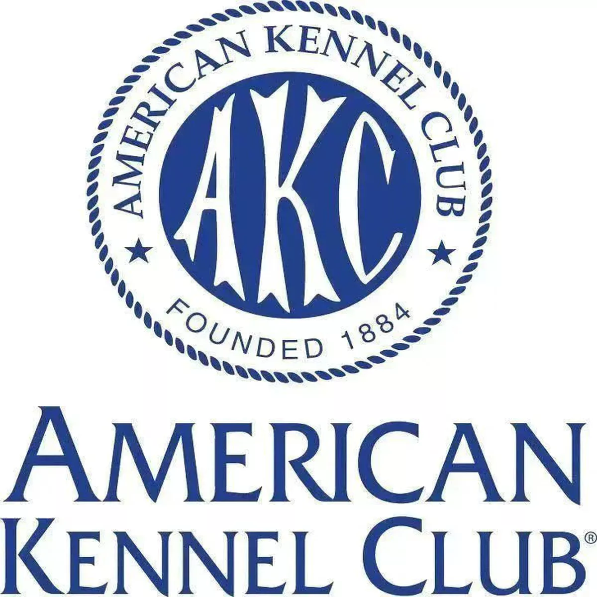 AKC TopDogs – Spaniels