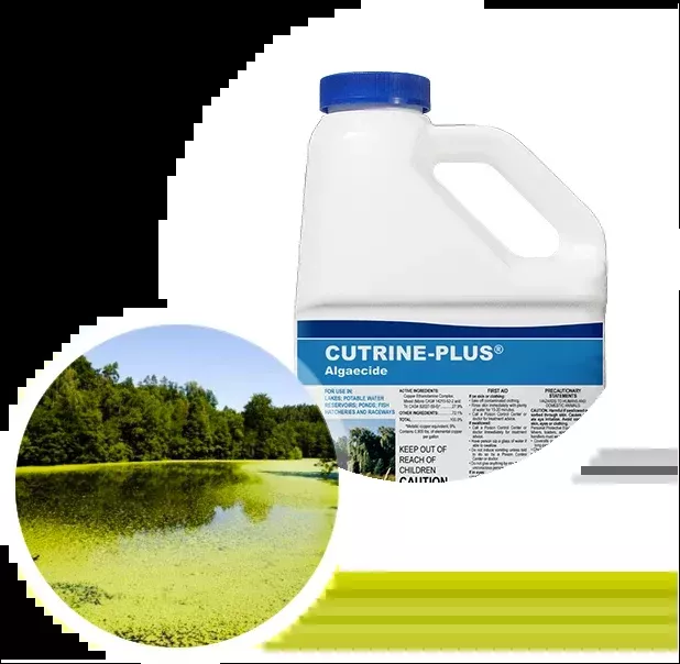Applied Biochemists Cutrine Plus Algaecide and Herbicide
