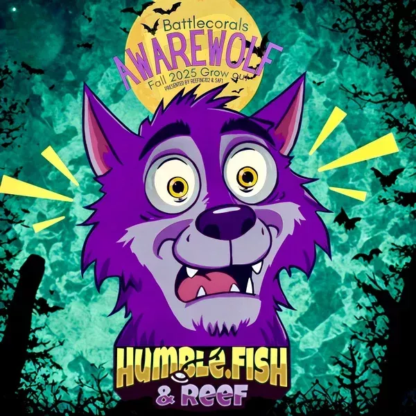 Awarewolf Grow out 2025!