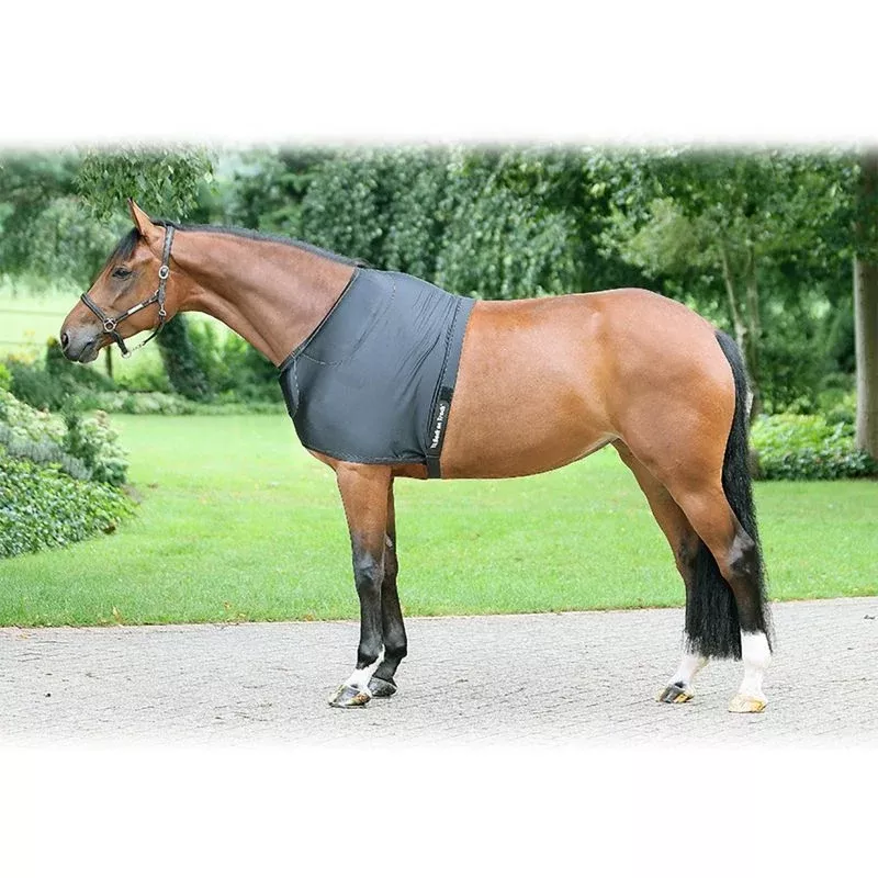 Back on Track Therapeutic Equine Shoulder Guard
