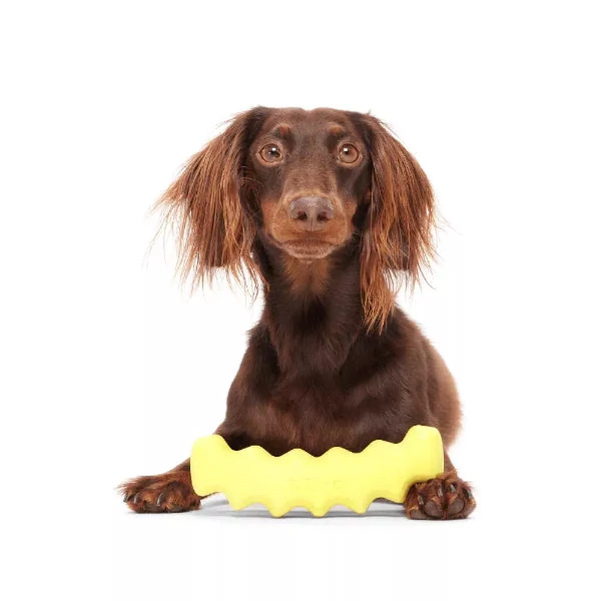 Bark Crinkle Fry Dog Toy