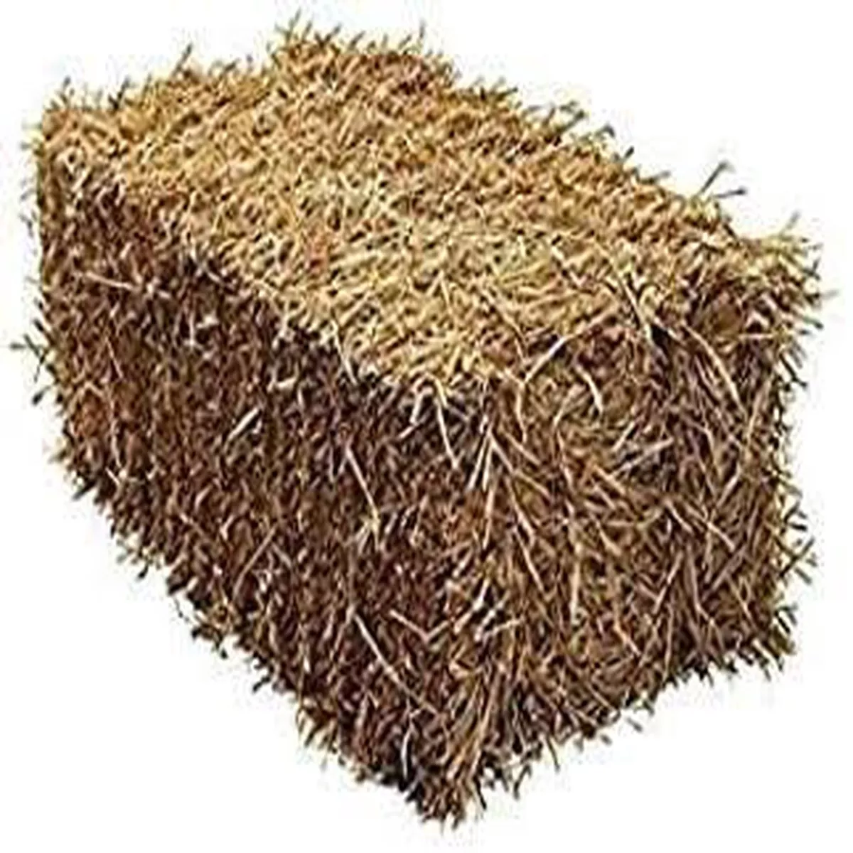 Barley Straw Bale for Pets