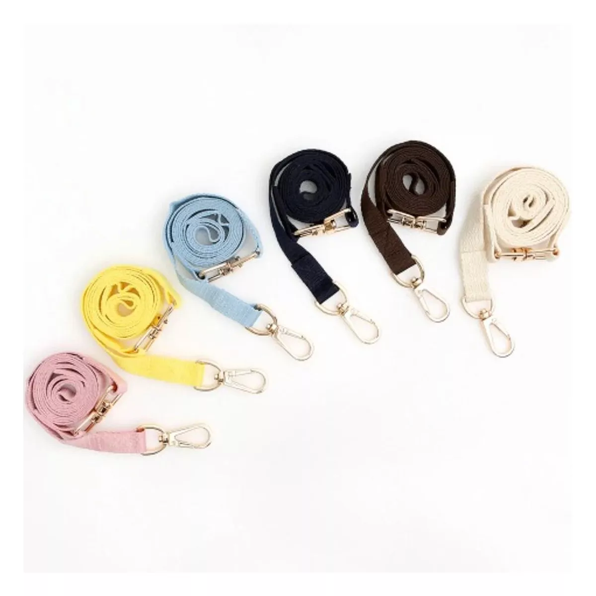 Basic Leash for Dogs & Cats