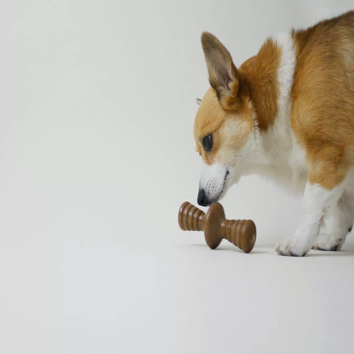 Benebone Zaggler Bacon Flavored