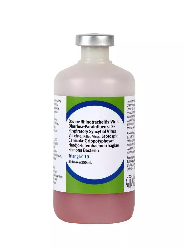 BI, Triangle 10 HB, 50 Doses