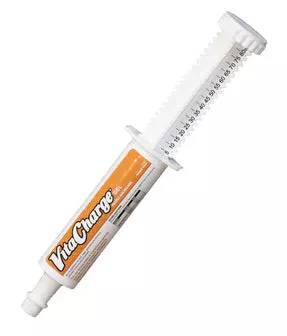 BioZyme Vita Charge Gel