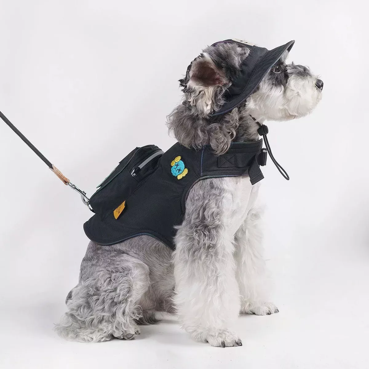 Black Dog Backpack Harness and Hat Set