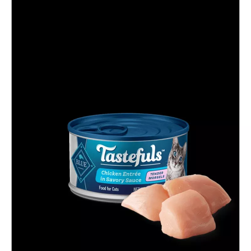 Blue Chicken Morsels 5.5oz Tasteful