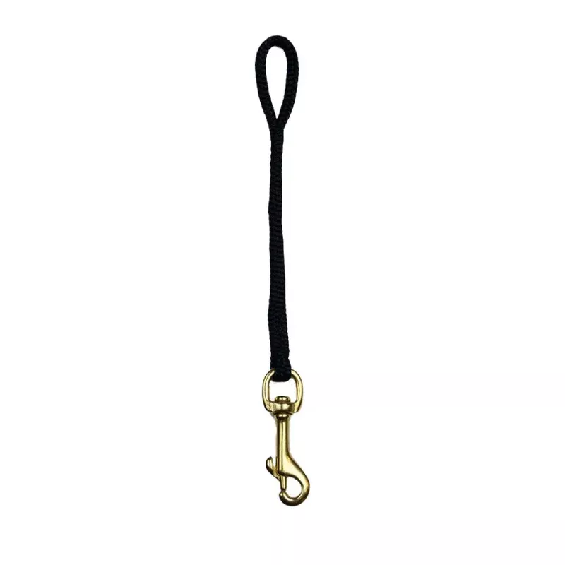 Bolt Snap Attachment Point Safety
