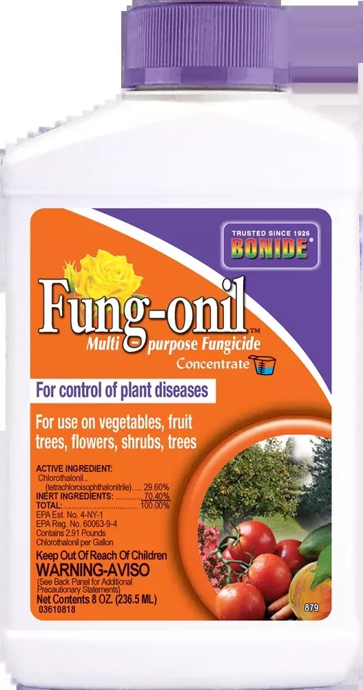 Bonide Fung-onil Conc