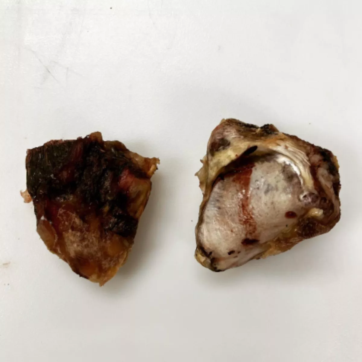 Buff Bites Baked Knee Cap Bone Dog Treat