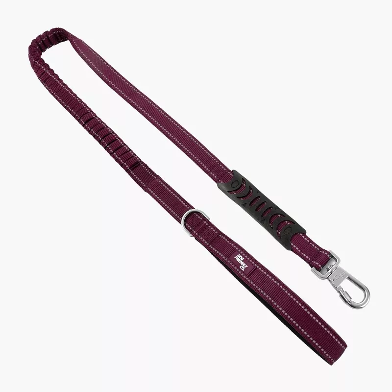 Bungee Dog Leash – Burgundy