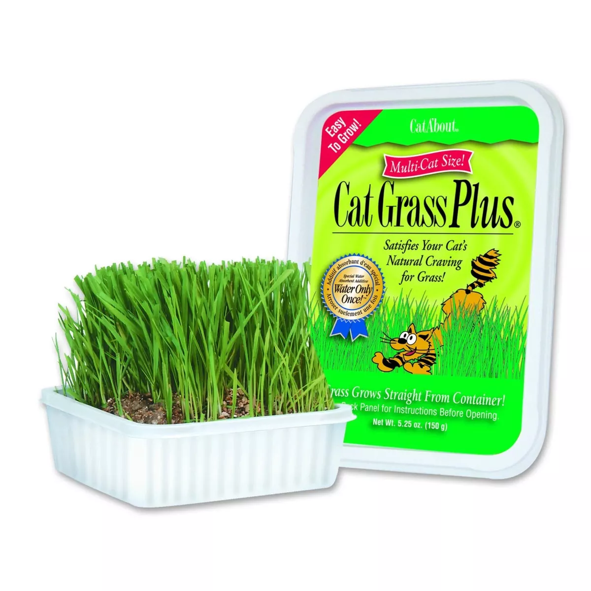 Cat A'bout Cat Grass Plus Kit