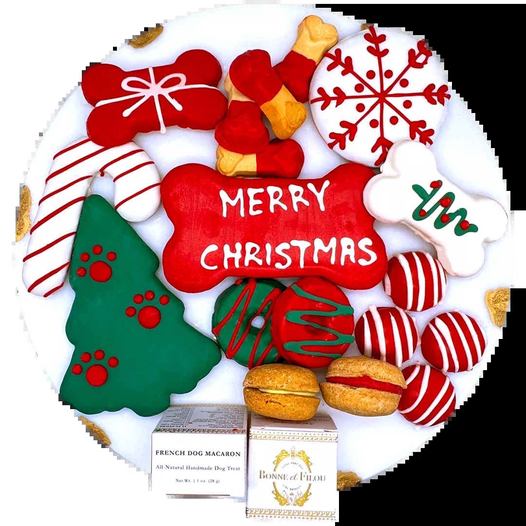 Christmas Themed Dog Treats Gift Box