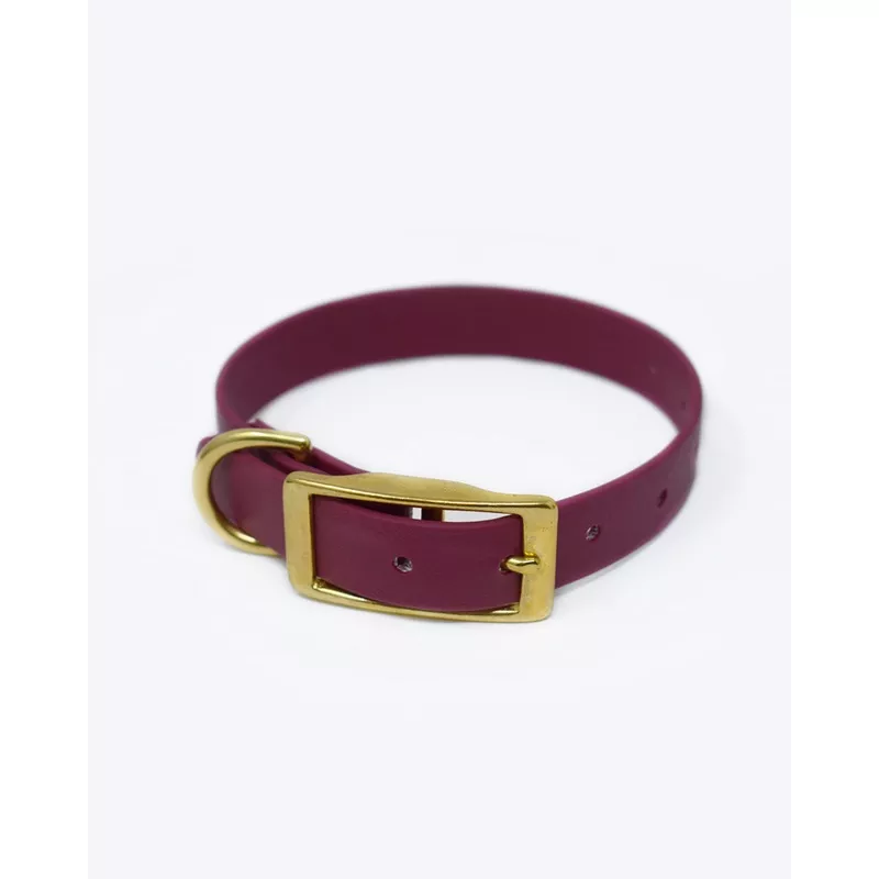 CLASSIC BRASS DOG COLLAR Black