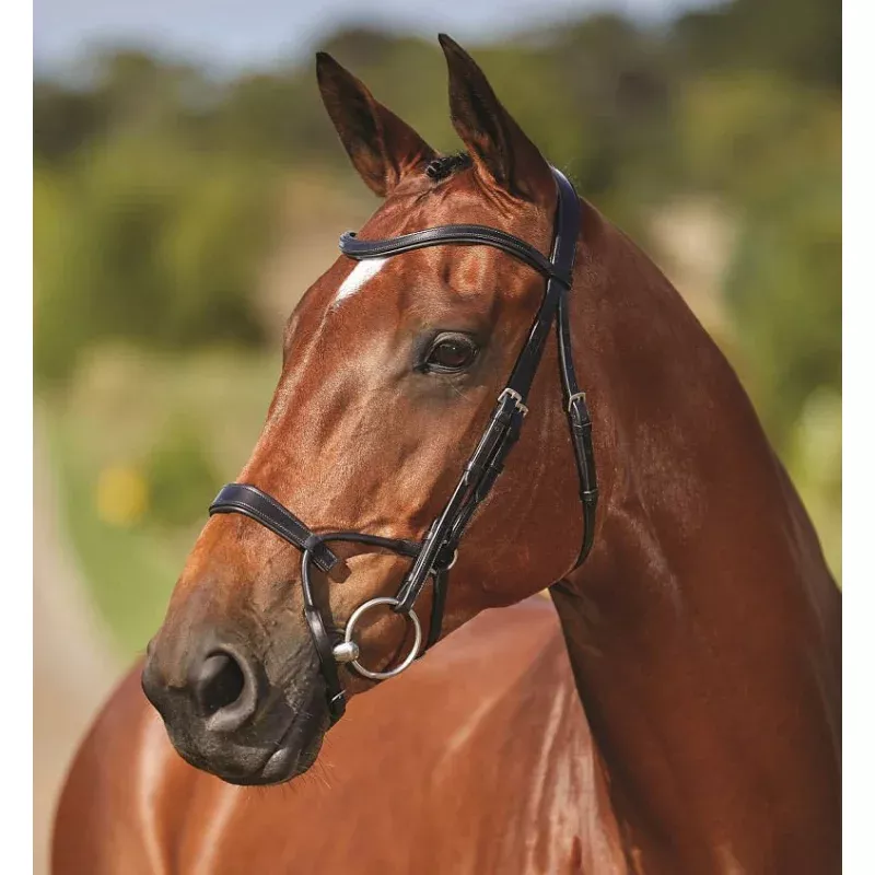Collegiate ComFITec Training Bridle Black
