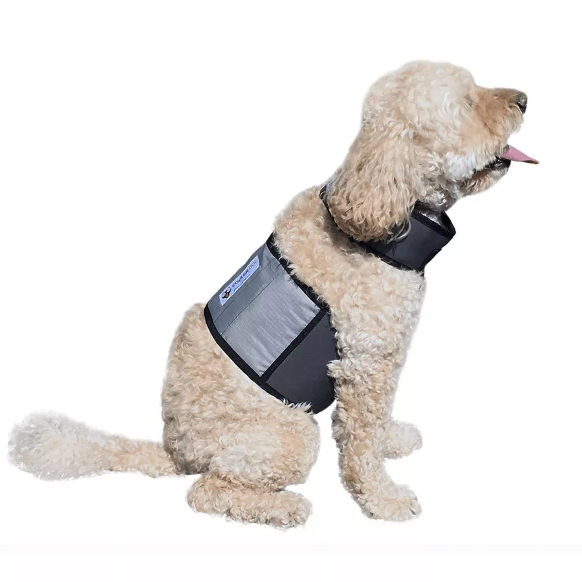 Cooling Vest and Collar
