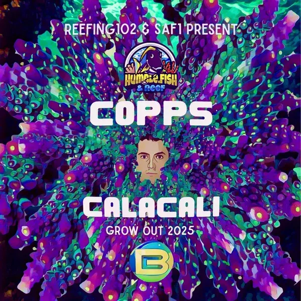 Copps Calacali Grow out 2025!