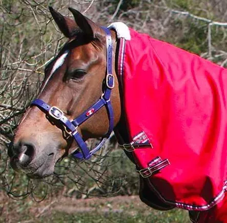 Crusader Lite Neck Rug
