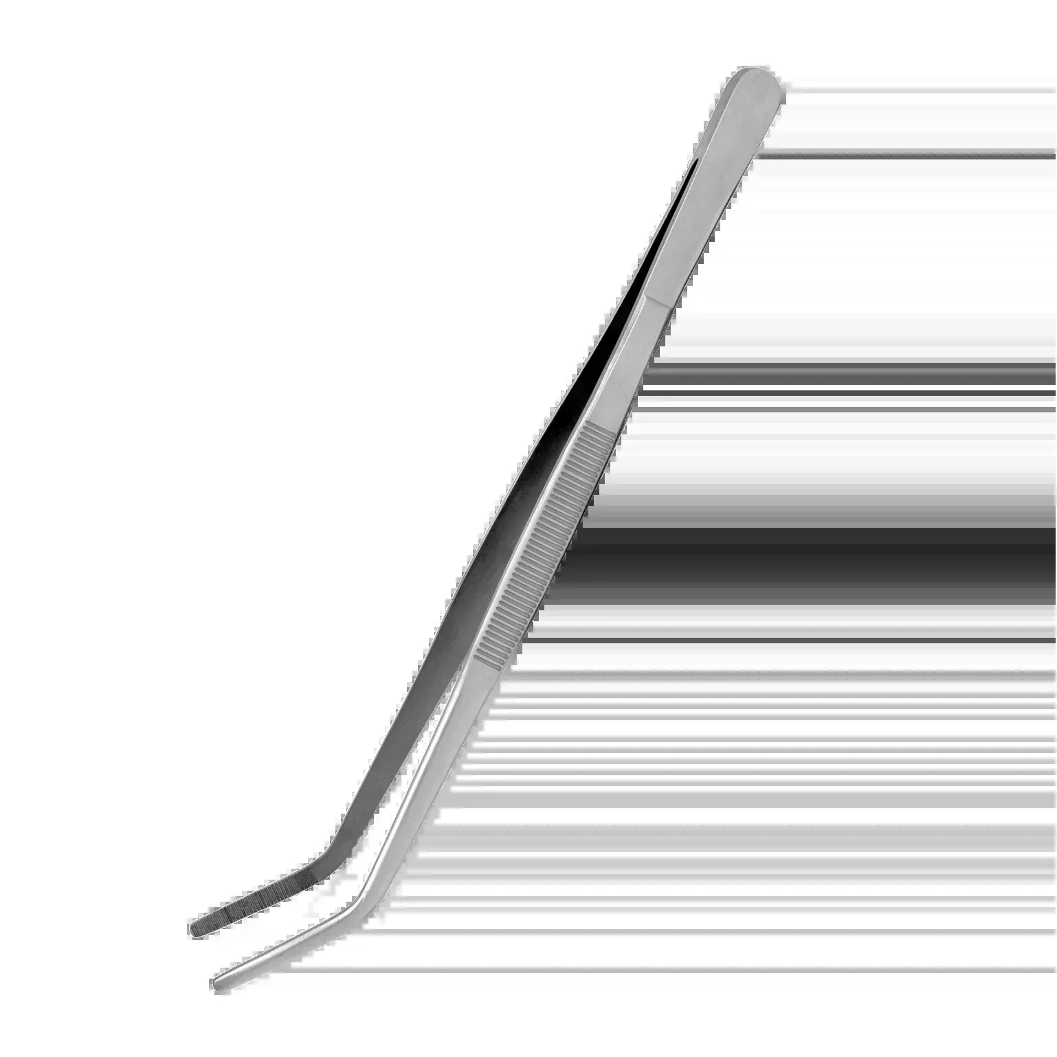 Curved Forceps 10″