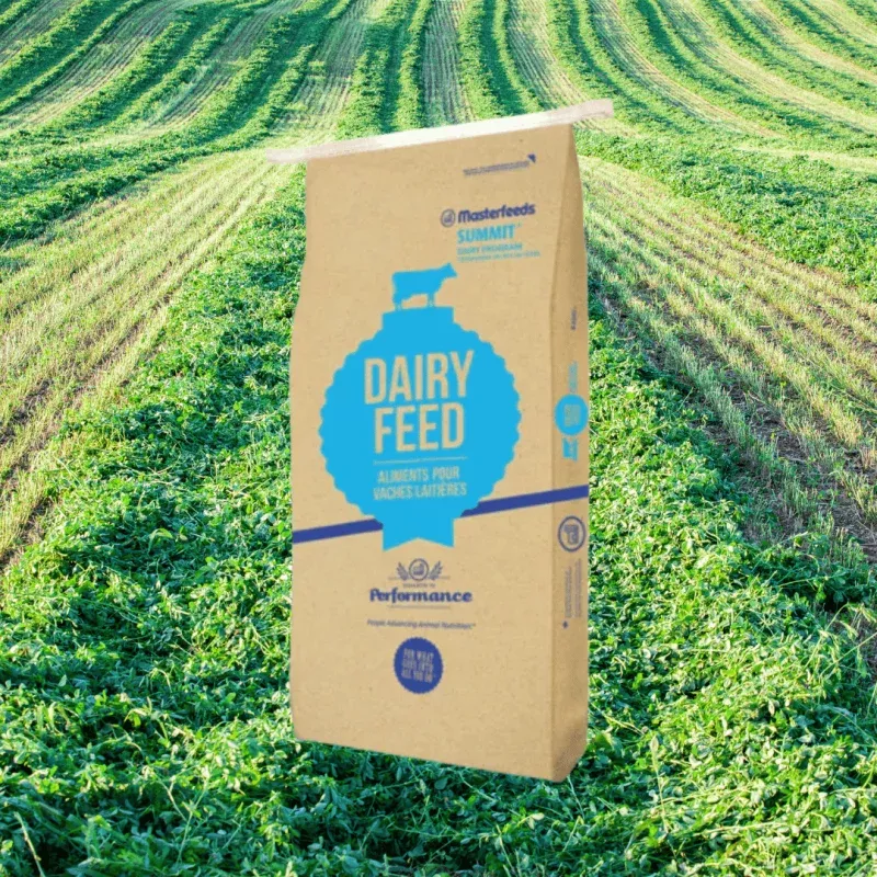 Dairy Ration Textured Ration 16% 25kg