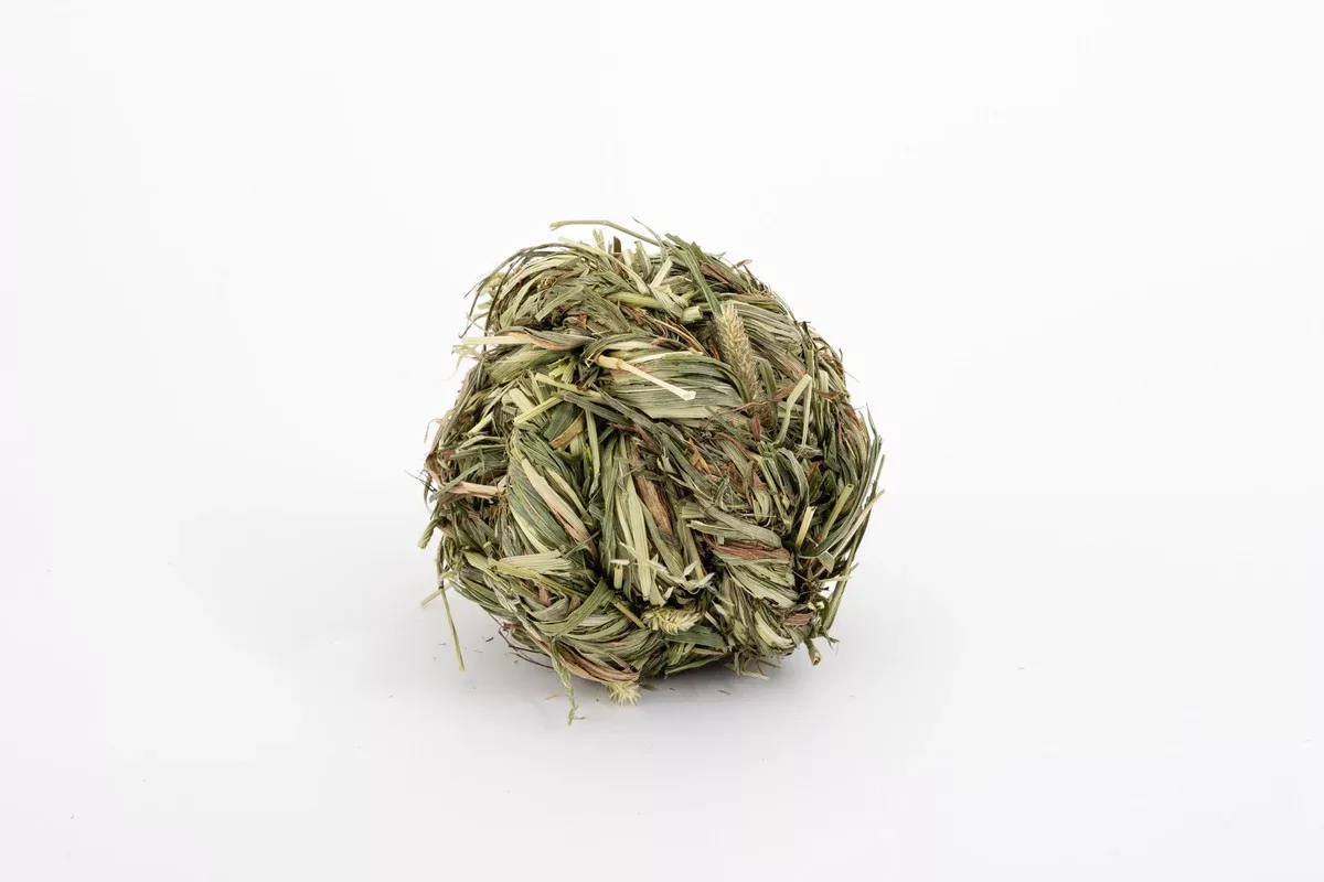 Dense Timothy Ball