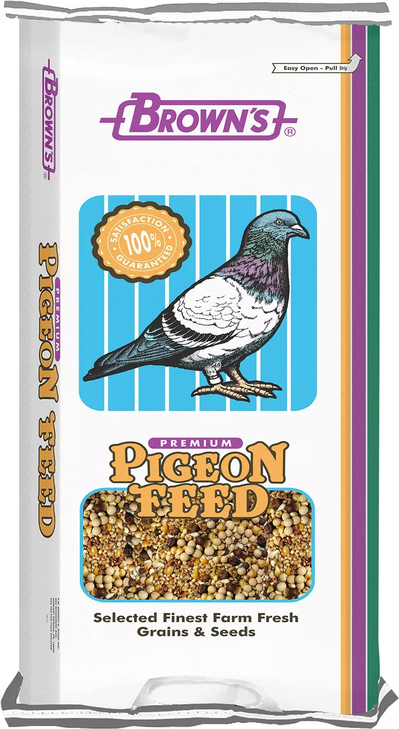 Developer Popcorn Pigeon Food