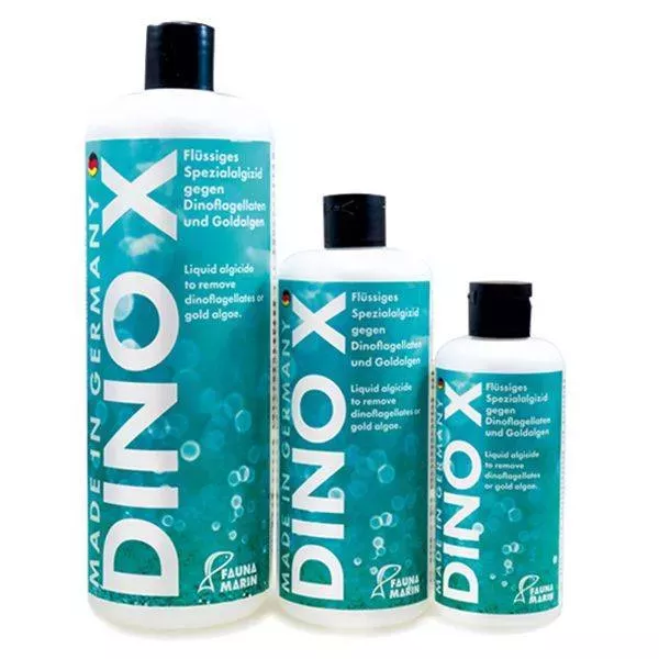 DINO X (Algae X) – Fauna Marin