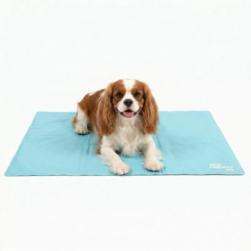 Dog Cooling Mat Sky Blue
