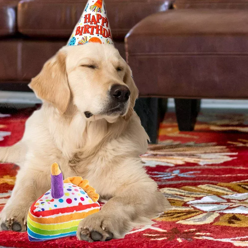 Dog Toy – Birthday Cake Slice Plush