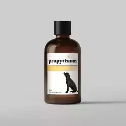 Dogs First | Propythium Moisturising Oil – 50ml