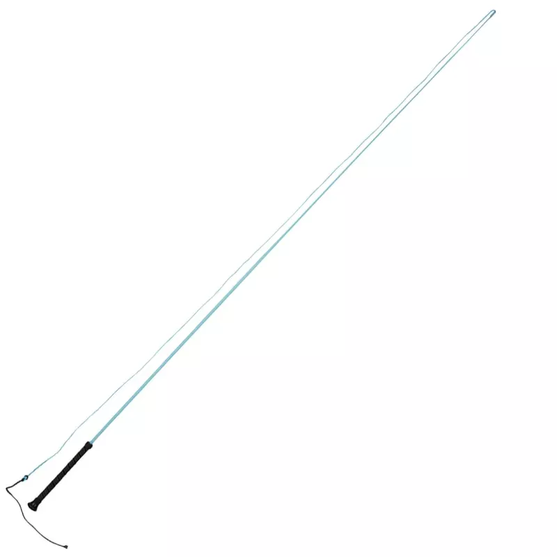 Dublin Brights Lunge Whip Aqua