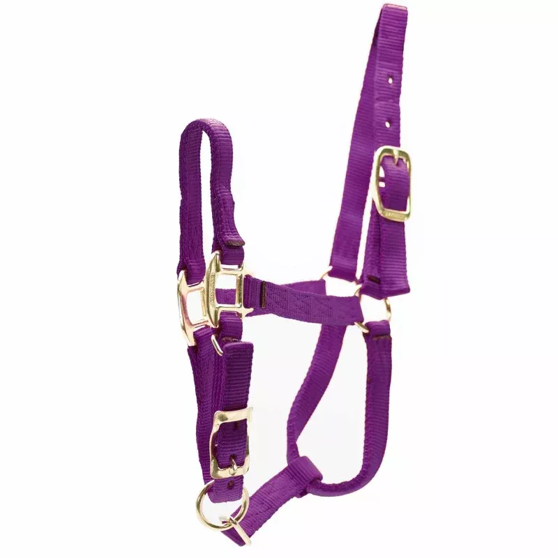 Durable Adjustable 1" Nylon Horse Halter Purple/Wine