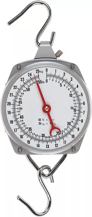 E-Z Hang Scale