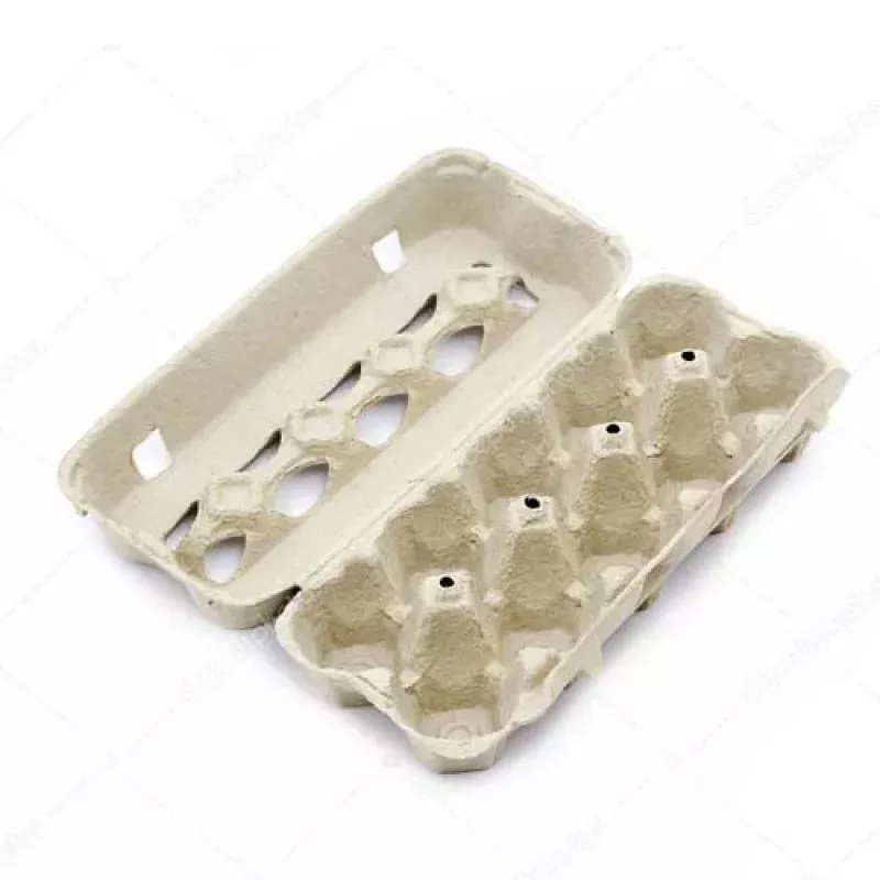 EGG CARTON PULP