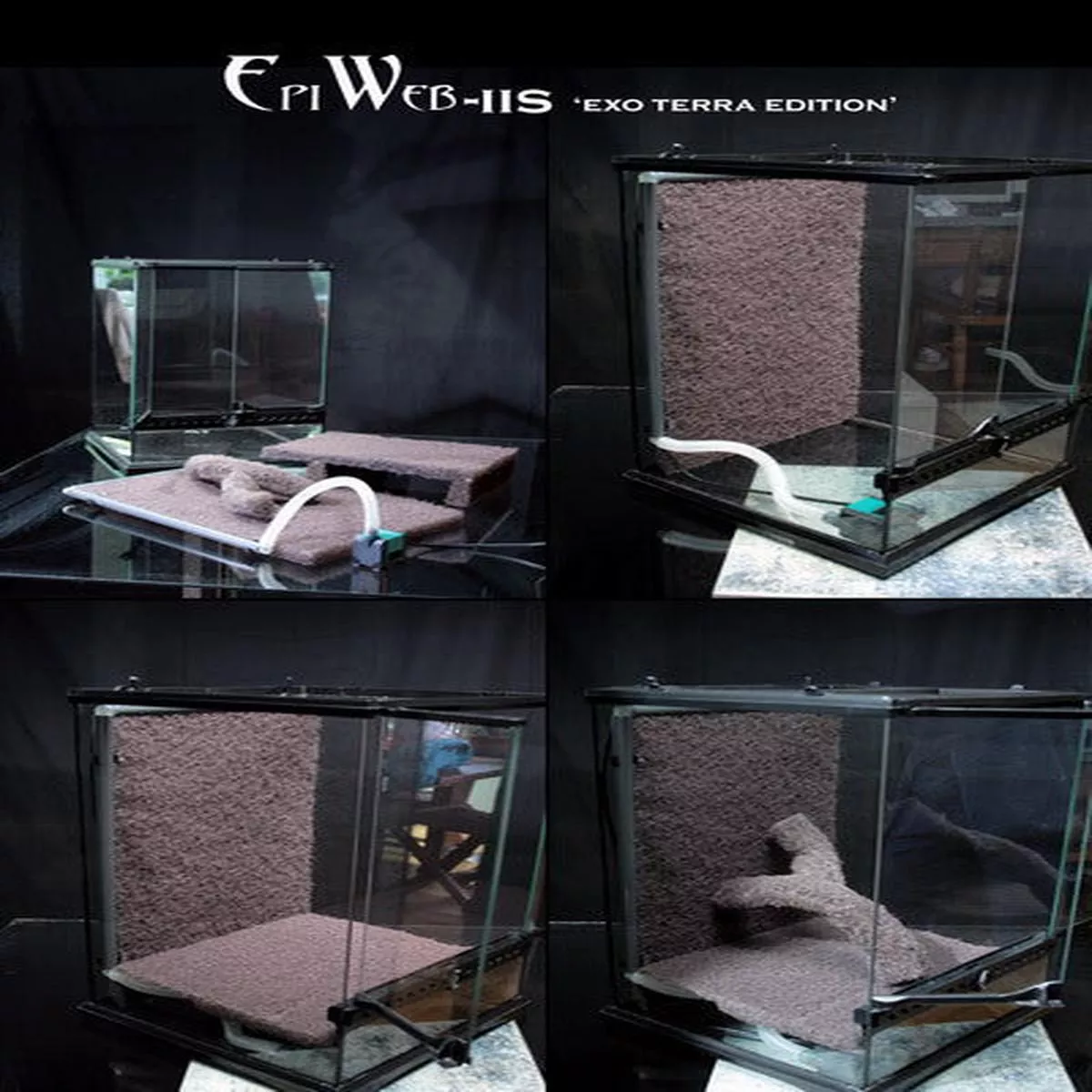 EpiWeb IIS Exo Terra Edition
