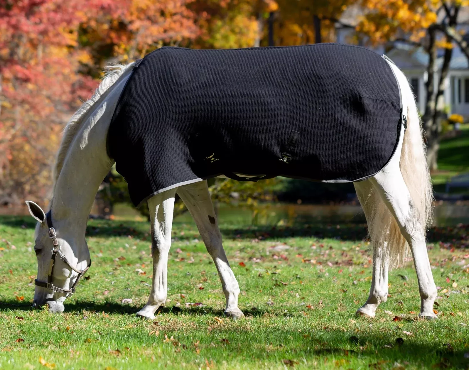 Equinavia Luftig Waffle Cooler
