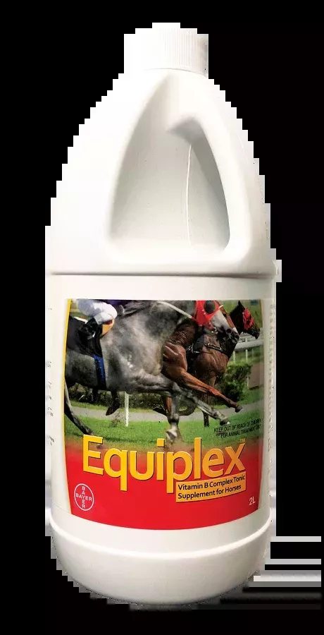 Equiplex 2L