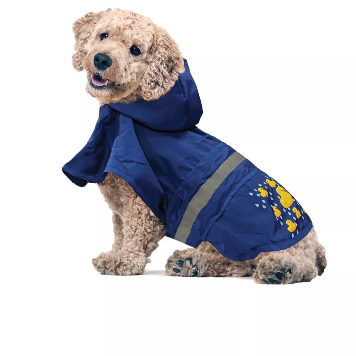 Ethical Pet Ducky Raincoat Royal Blue