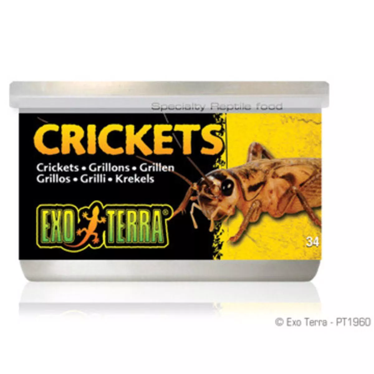 Exo Terra Crickets