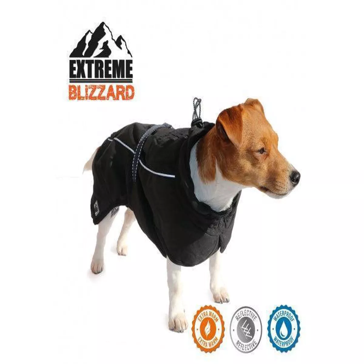 Extreme Blizzard Dog Coat Black 40cm M