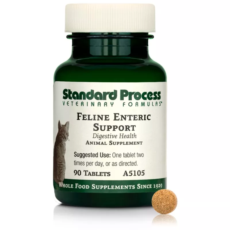 Feline Enteric Support, 90 Tablets