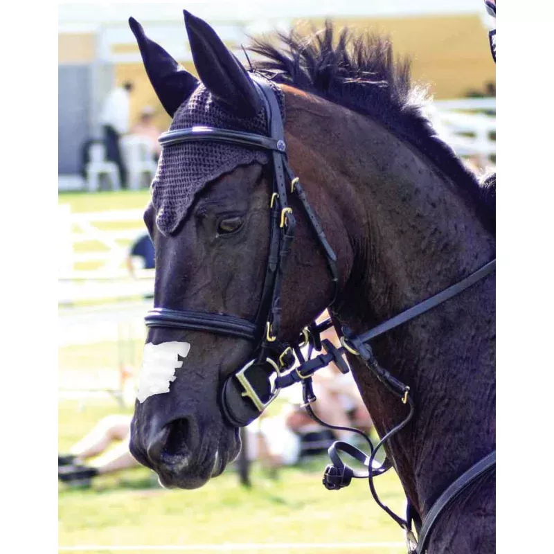 Flair Nasal Strips Black