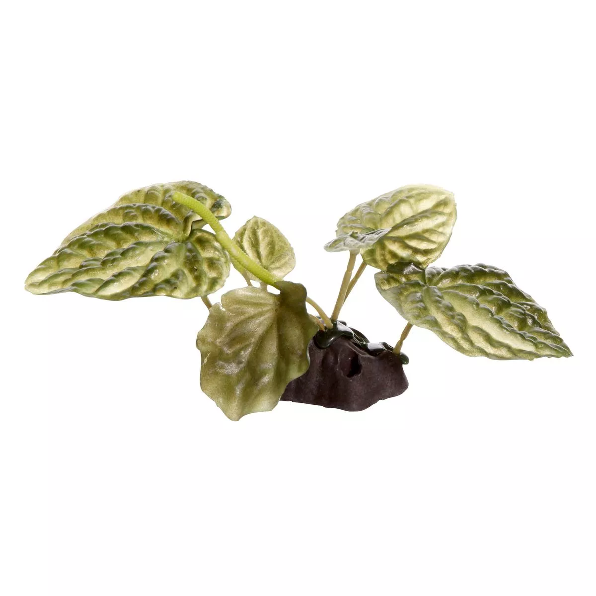 Fluval Plants Lotus small