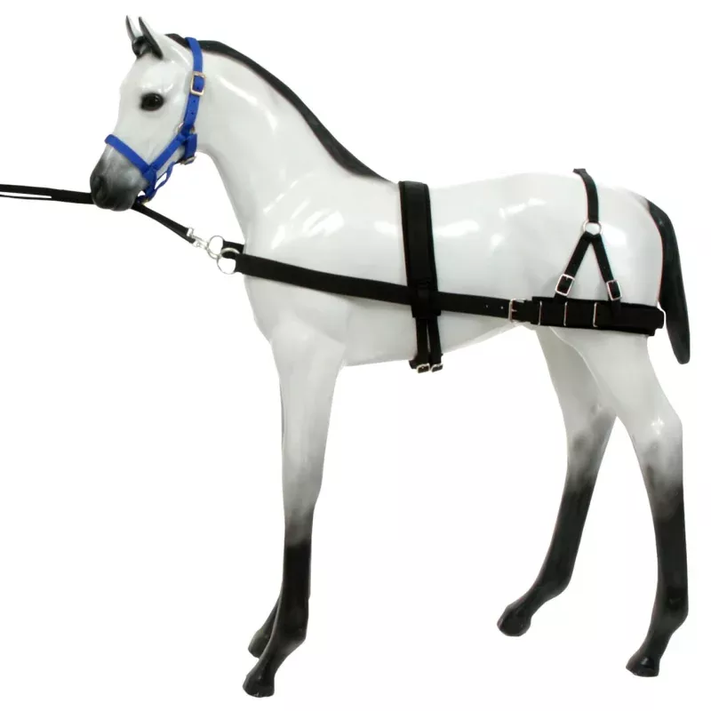 Foal Training Device Black