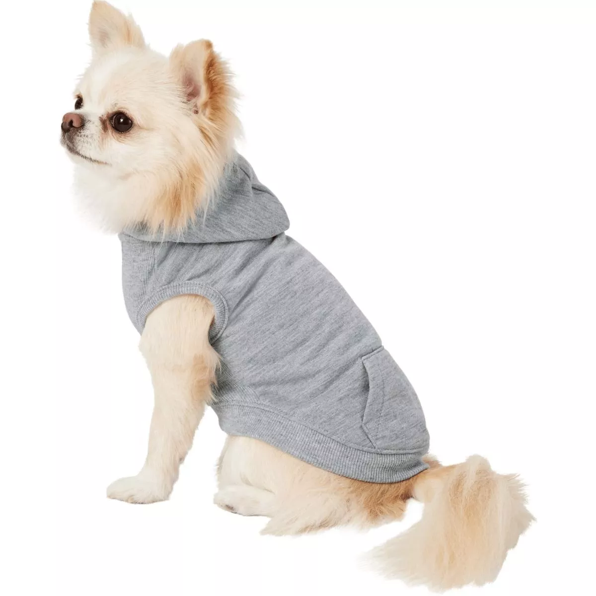 Frisco Dog Basic Hoodie