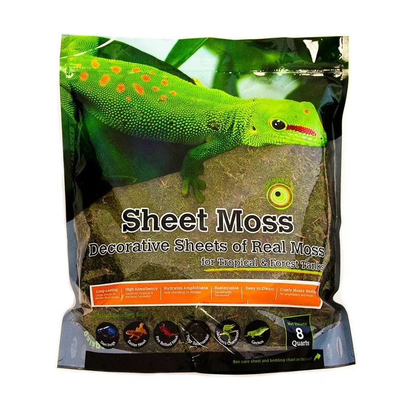 Galapagos Sheet Moss